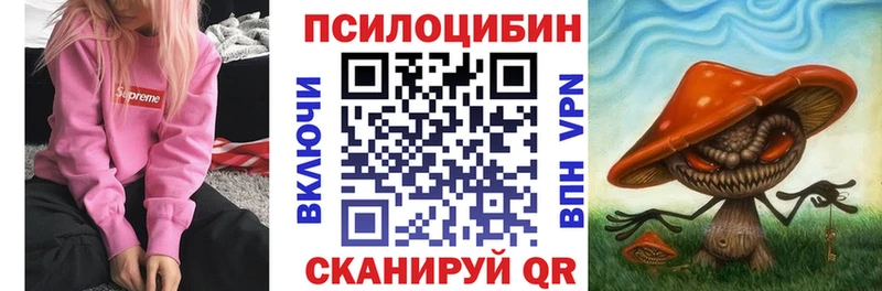 Галлюциногенные грибы Psilocybe  Кондрово 